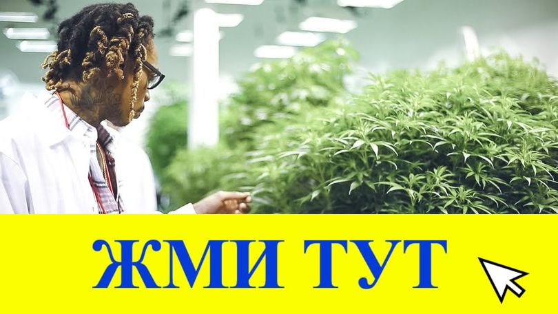 Купить наркотики в Соликамске